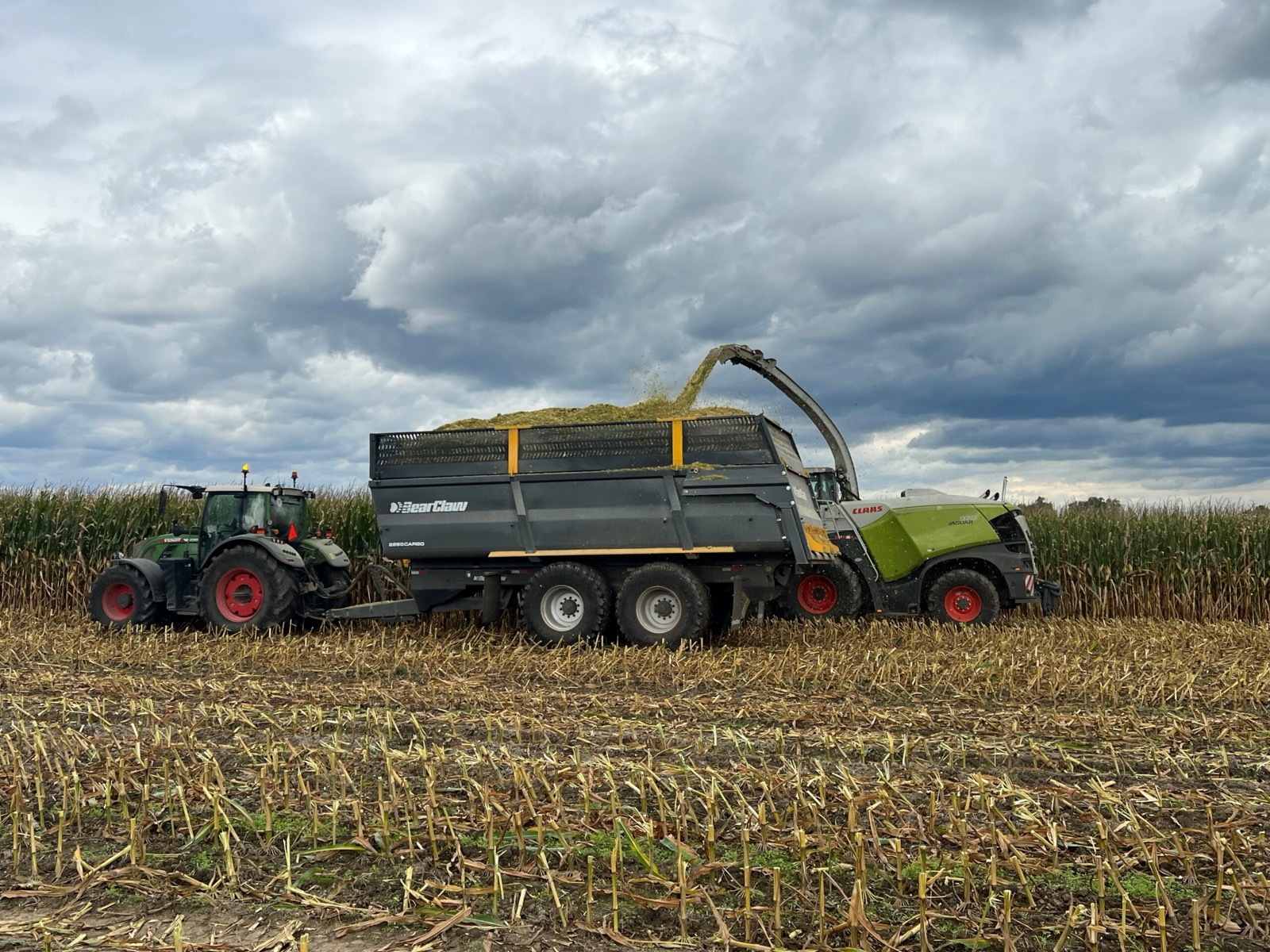 BearClaw 2260 Cargo silage trailer being loaded in the field